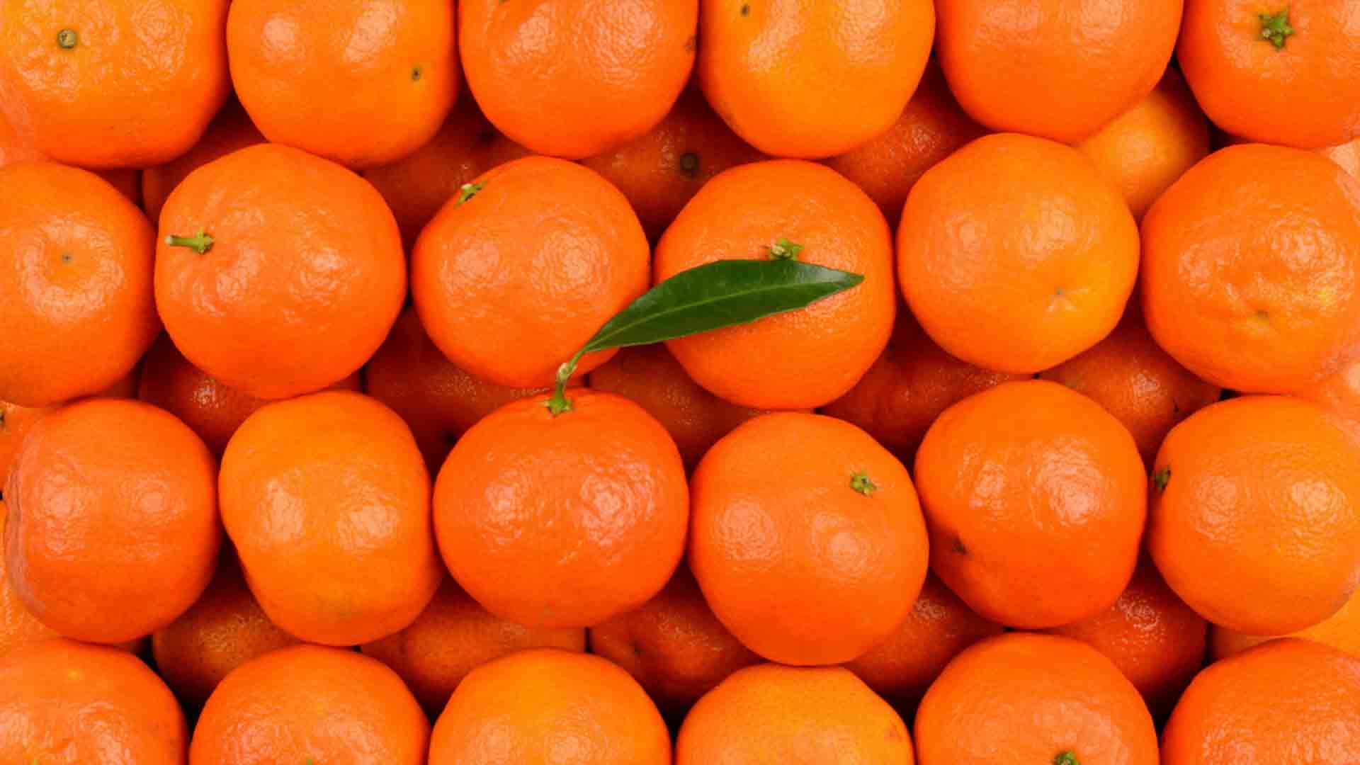 Main Banner Image 1